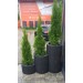 GAZON OGRODOWY 50x45x30x5,5cm Czerwony